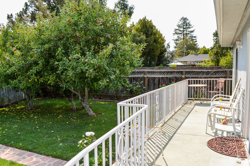 A peaceful backyard garden with a tree, lawn, and a white fence along a paved area.
