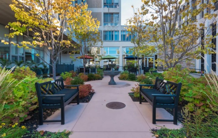 A tranquil urban garden with benches and pathways surrounded by trees and greenery.
