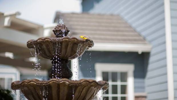 A small bird perched on a multi-tiered water fountain in front of a house.