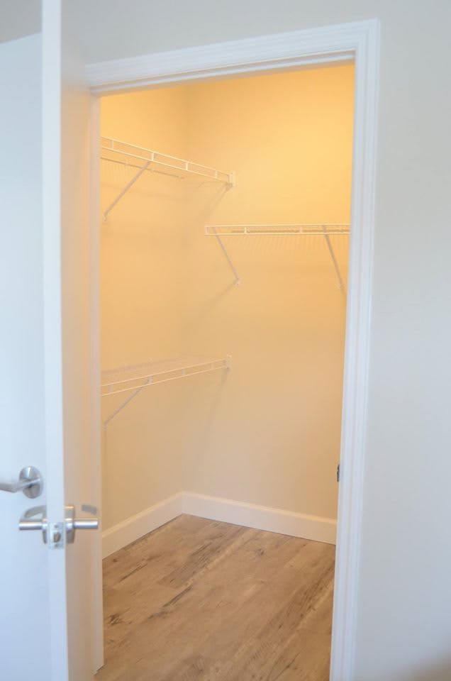 An empty walk-in closet with shelves and hanging rods.