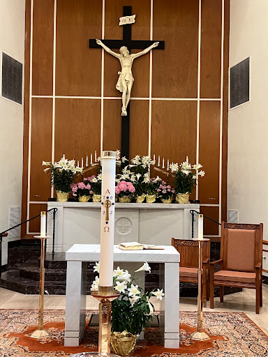 Stella Maris
