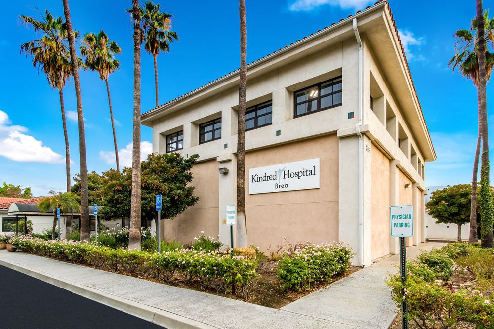 A modern hospital building with palm trees on a sunny day.