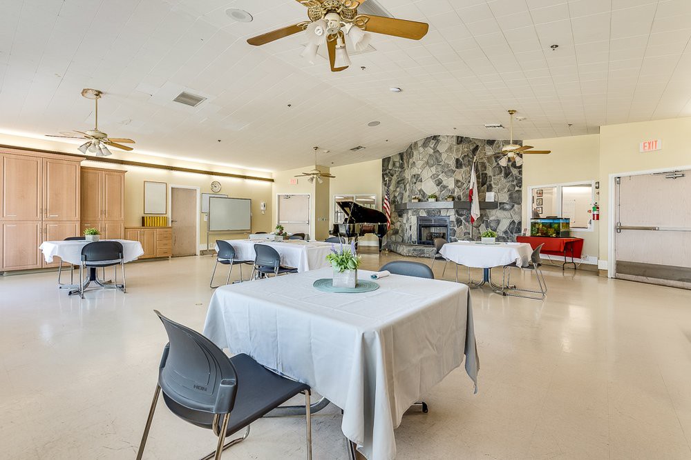 A spacious and well-lit dining area featuring tables with white tablecloths, modern chairs, a grand piano, and a stone wall.