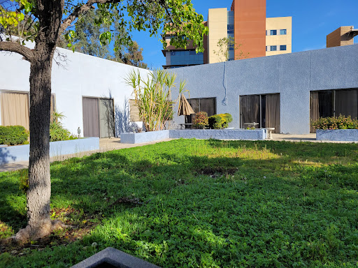 A serene courtyard surrounded by buildings, featuring lush green grass and a well-maintained garden.