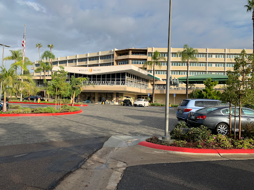 Wesley Palms