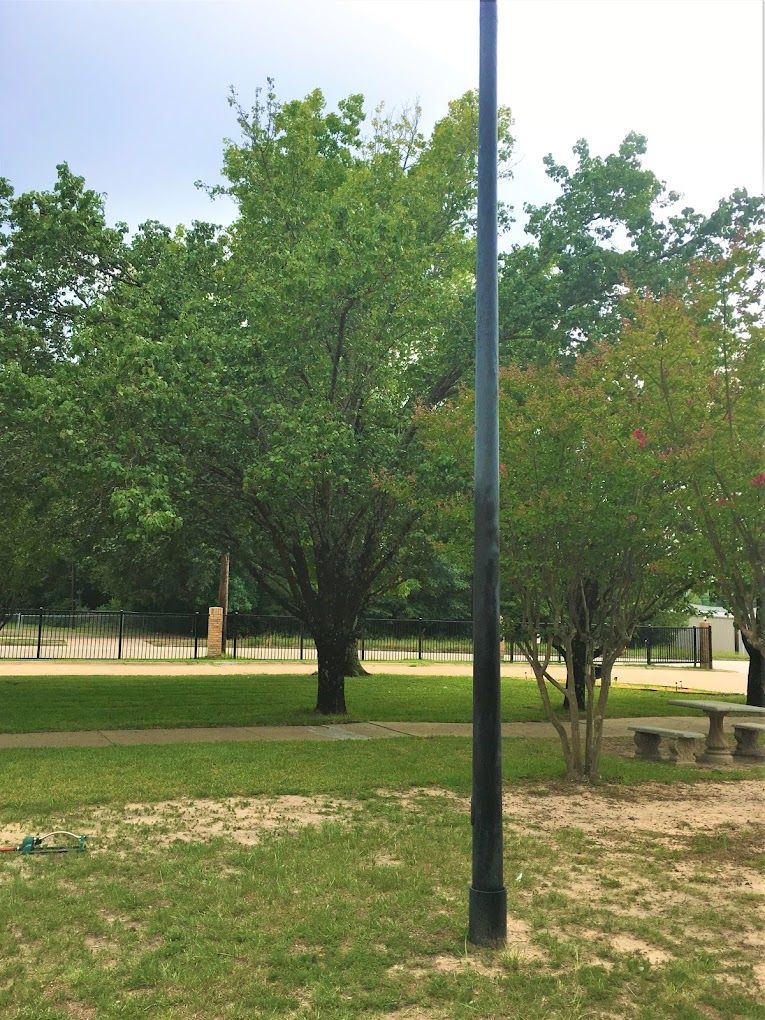 A peaceful park scene with lush greenery, a bench, and a lamp post along a pathway.