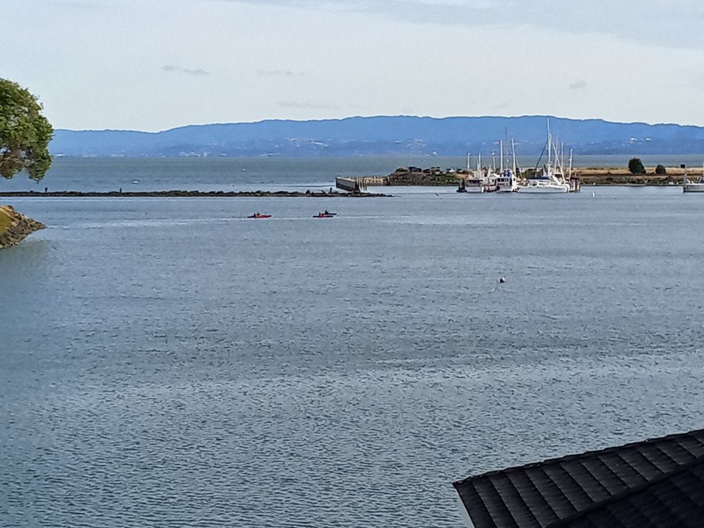 A calm harbor with boats and an industrial area in the background, set against distant hills.
