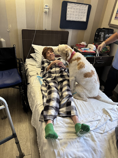A comforting moment between a patient and a dog in a hospital setting.