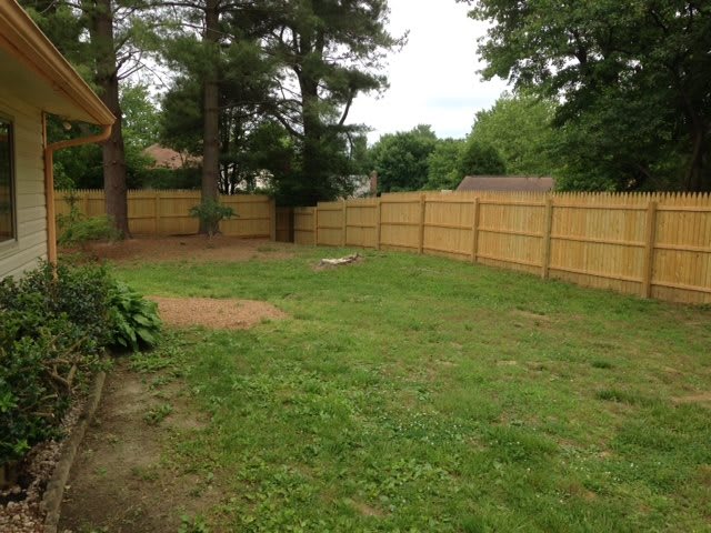 A fenced backyard with grass and trees.