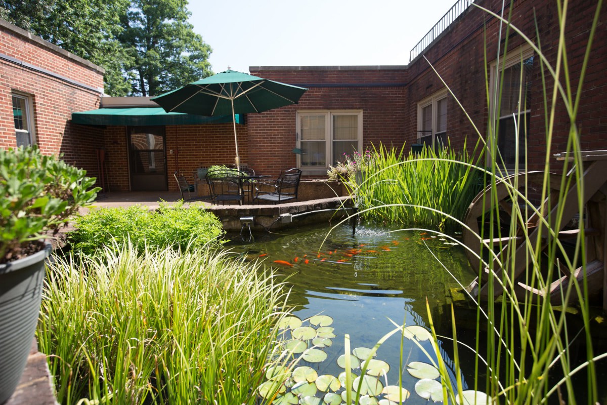 A tranquil garden patio with a pond surrounded by lush greenery and outdoor seating.
