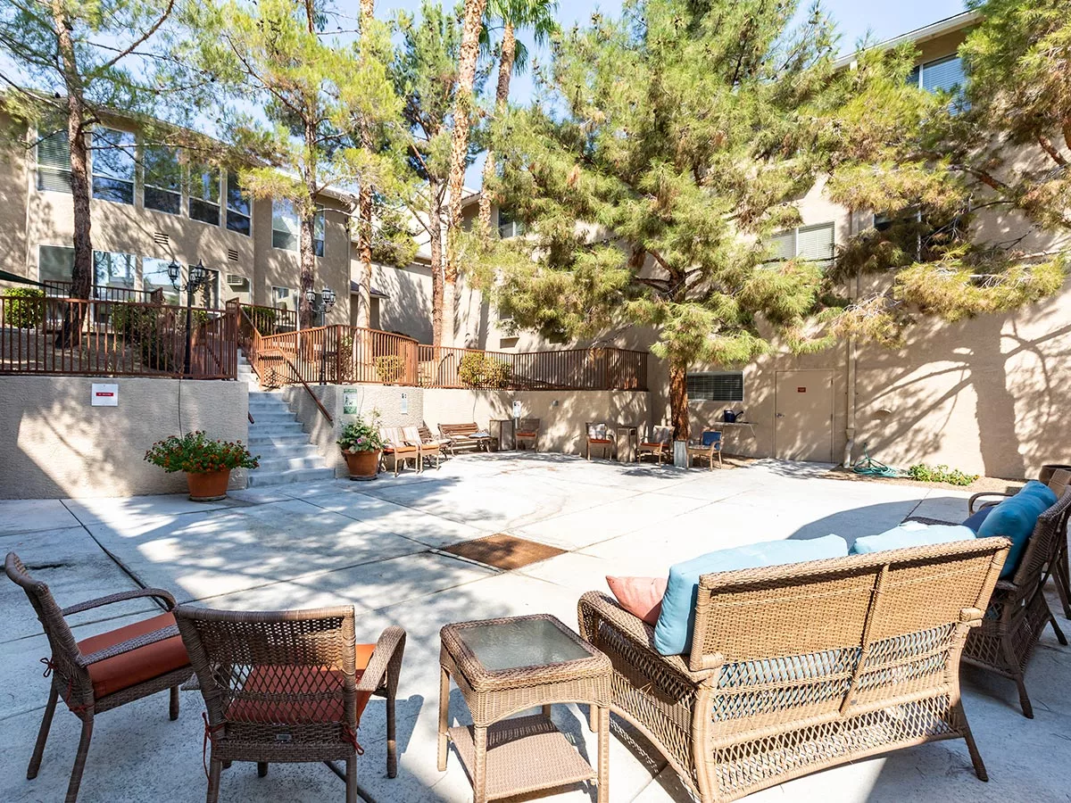 A sunny outdoor patio featuring comfortable furniture and surrounded by trees.