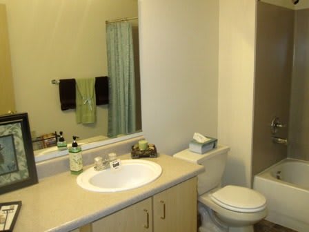 A clean bathroom with a sink, mirror, and toilet.