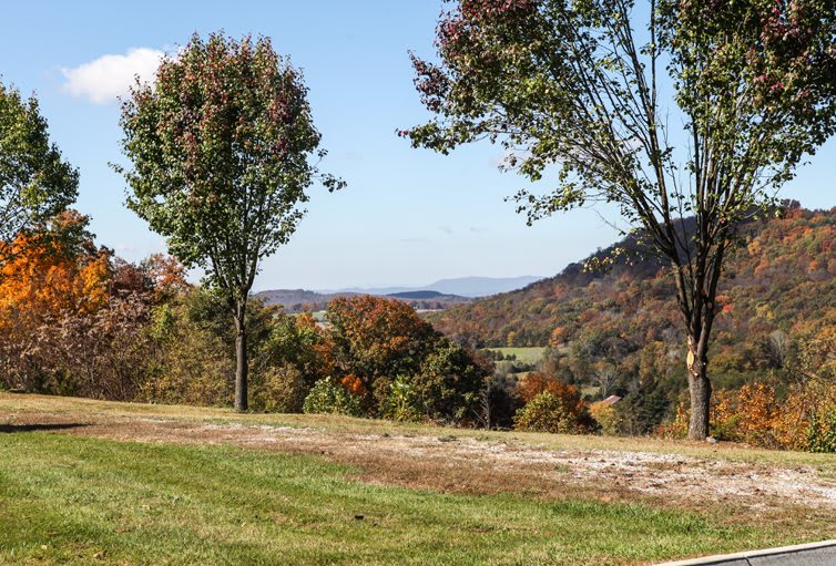 A scenic autumn landscape with trees and distant mountains.