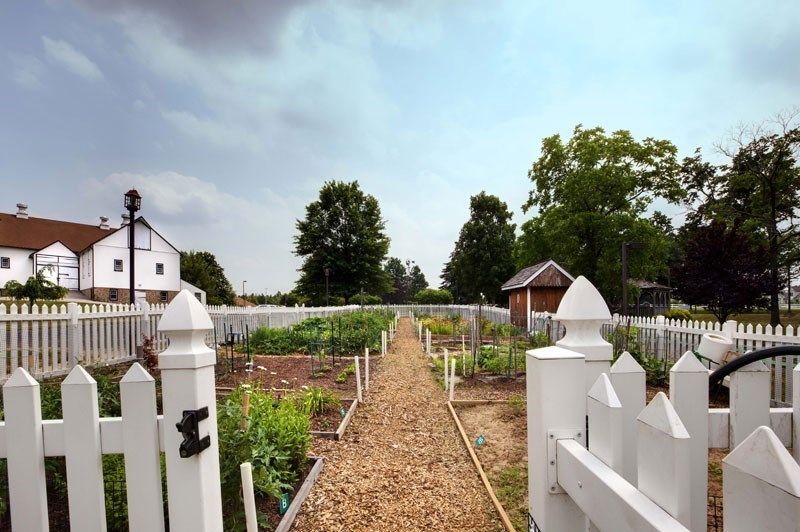 A peaceful vegetable garden with a gravel pathway, surrounded by a white picket fence.