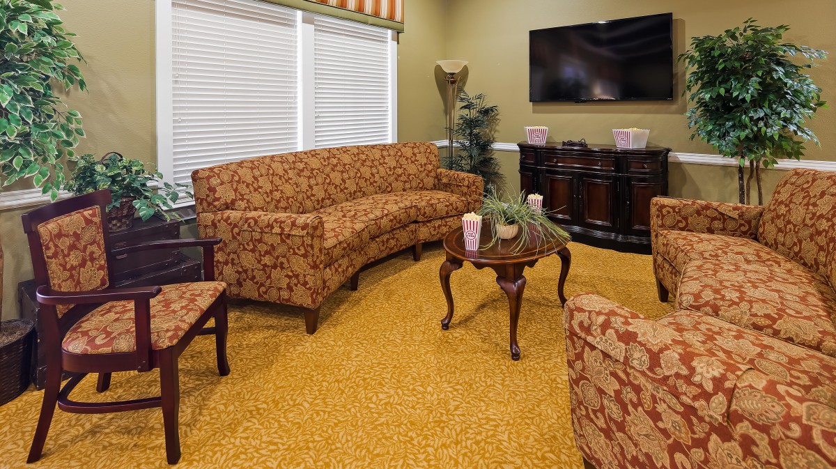 A cozy living room with patterned sofas and a television.