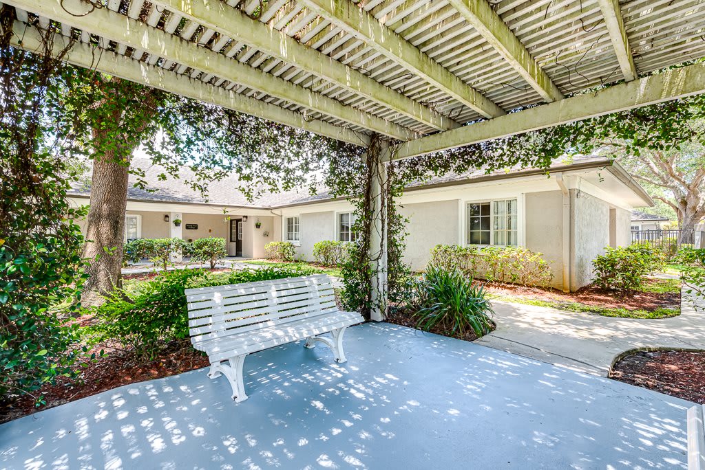 A serene outdoor garden patio with a white bench under a pergola.