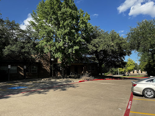 A serene outdoor space featuring a large tree in front of a building under a clear blue sky.