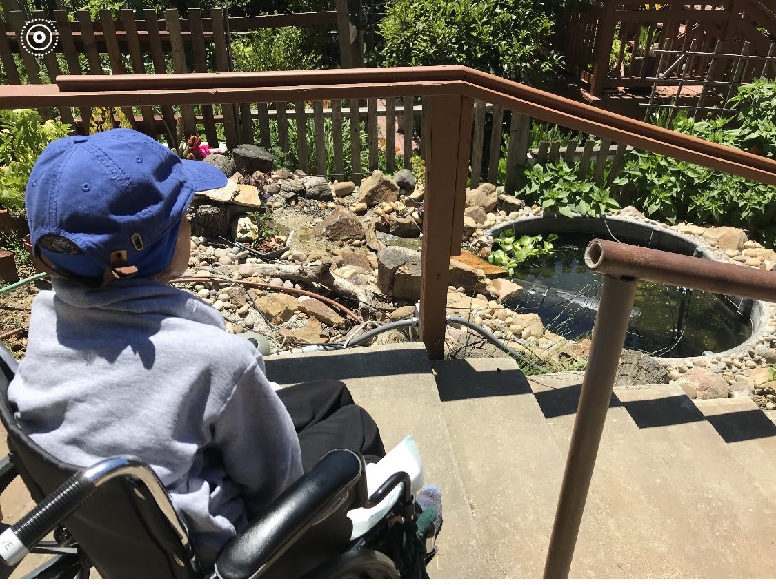 A person in a wheelchair wearing a blue hat is observing a garden area with rocks and plants, using an accessible ramp.