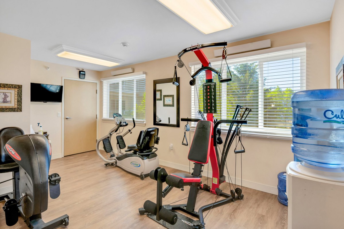 A well-equipped home gym featuring various exercise machines and equipment.