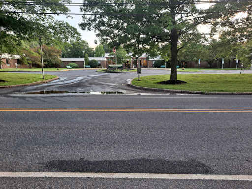 A quiet road with a puddle and a tree-lined neighborhood in the background.