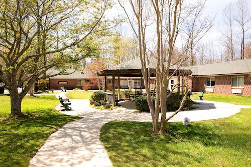 Autumn Care Of Saluda