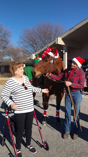 A festive gathering with a horse wearing a Santa hat, bringing holiday joy to the scene.