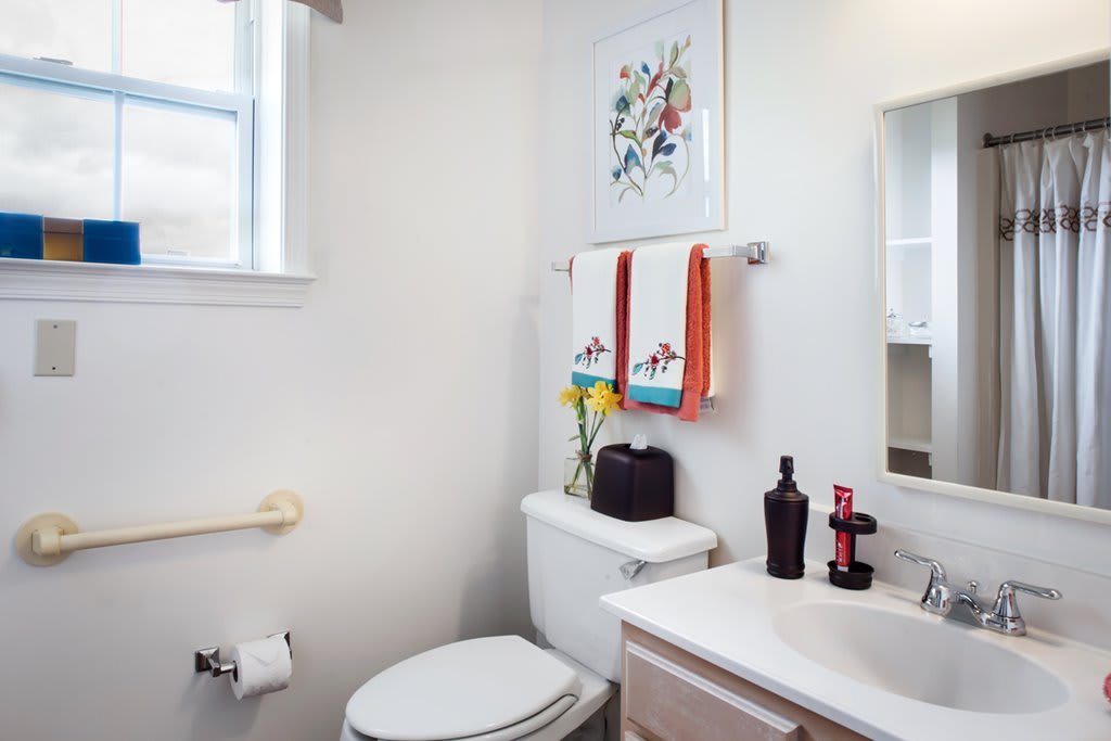 A tidy and well-lit bathroom with decorative elements.