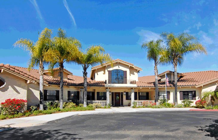 A sunny view of a residential building with palm trees lining the driveway.