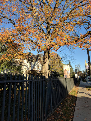A vibrant autumn scene featuring a tree with orange leaves beside a sidewalk and fence.