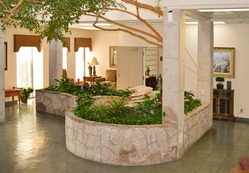 An indoor garden within an office setting, featuring lush greenery and modern decor.