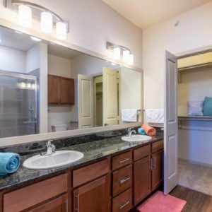 A modern bathroom with double sinks, granite countertops, and a walk-in closet.