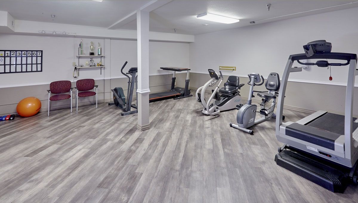 A well-equipped home gym with various exercise machines.