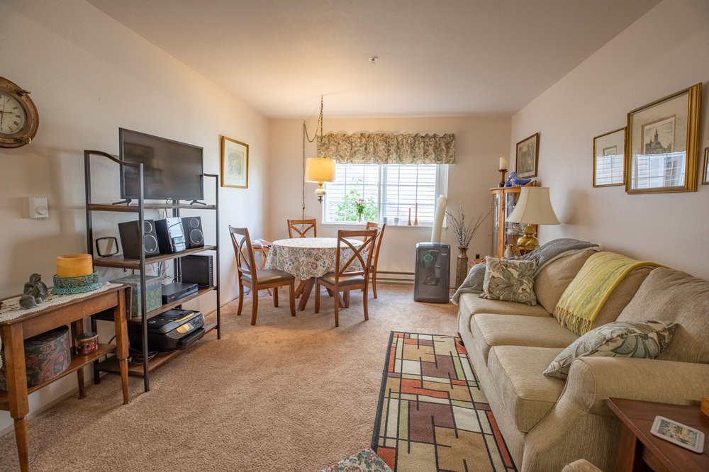 A cozy living room with a dining area, featuring a sofa, television, and dining table.