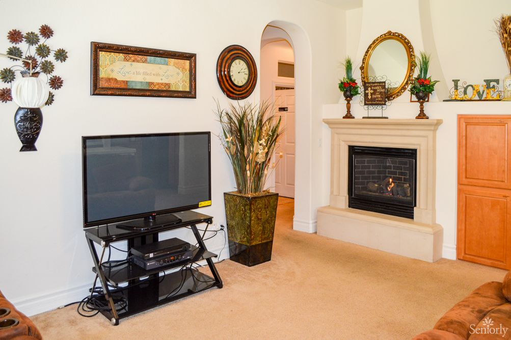 A cozy living room featuring a television, fireplace, and decorative elements.