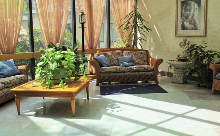 A cozy living room with a sofa, lush plants, and sunlight streaming through curtains.