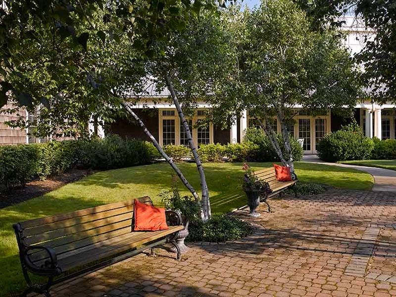 A serene garden setting with benches and lush greenery.