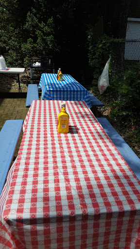 Two picnic tables covered with checkered tablecloths, one red and one blue, each featuring a mustard bottle.