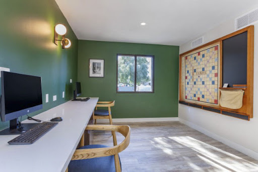 A modern workspace featuring a green accent wall, natural light, and stylish furnishings.