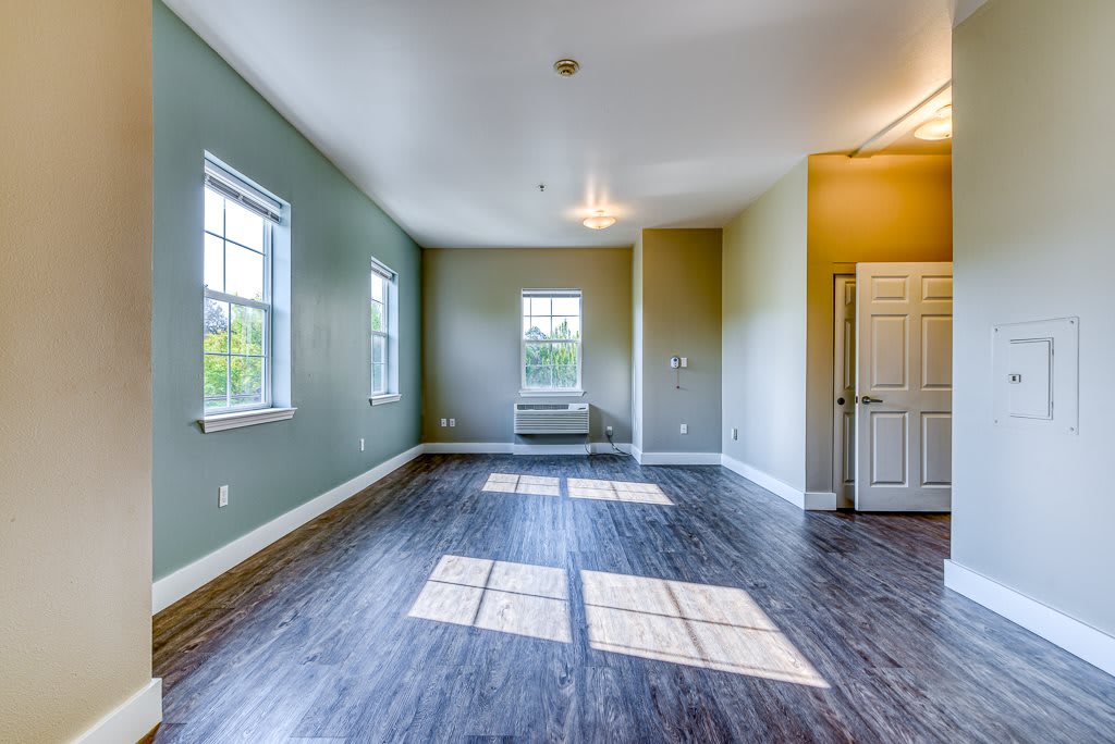 A bright, empty room with hardwood flooring and large windows allowing natural sunlight to fill the space.