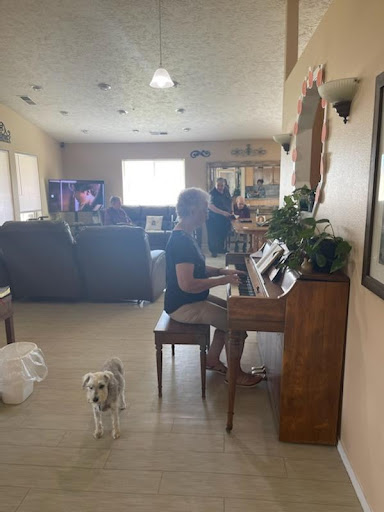 A serene moment of music-making at home with a curious dog.