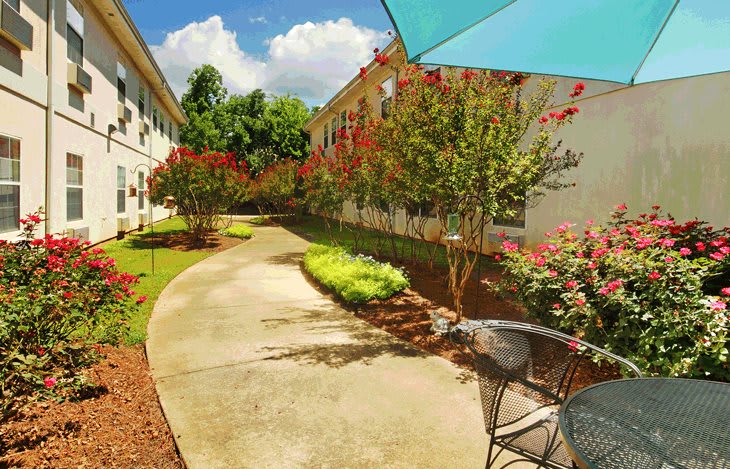 A serene garden pathway lined with trees and a seating area under a blue patio umbrella.