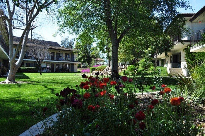 A serene garden with vibrant flowers and lush greenery surrounding a cozy house.