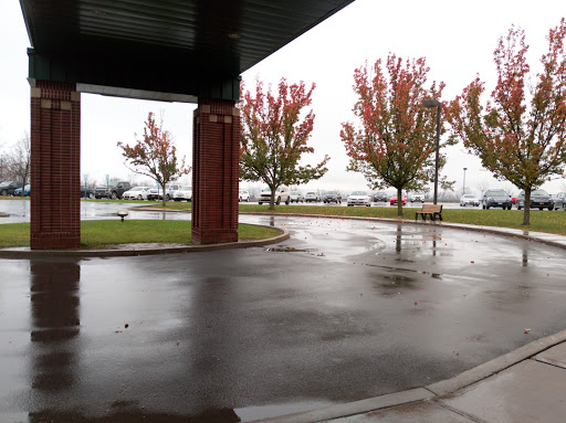 A rainy day view featuring colorful autumn trees and a wet pavement.