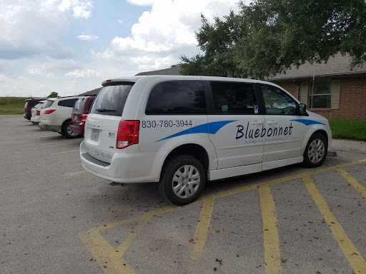 A parked minivan with 'Bluebonnet' branding in a parking lot.