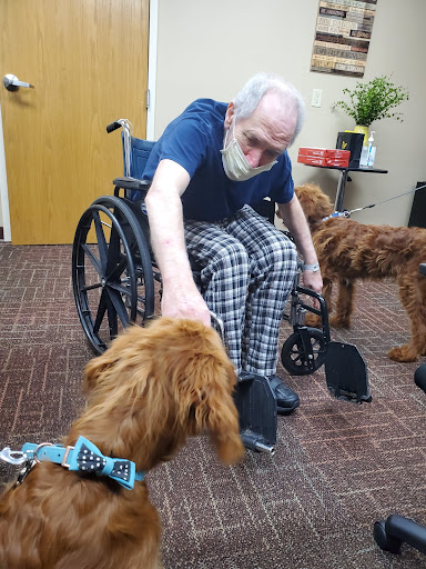 An elderly man in a wheelchair gently pets a therapy dog, enjoying a moment of connection.
