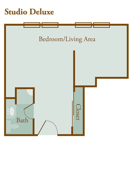 A basic floor plan of a studio apartment with designated areas for the bedroom/living area, bath, and closet.