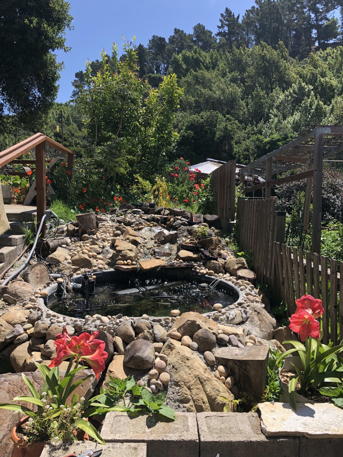 A serene garden landscape featuring a small pond surrounded by rocks and vibrant flowers.