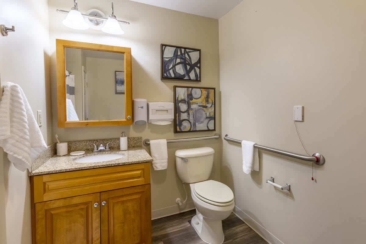 A clean and organized bathroom featuring a wooden vanity, mirror, toilet, and wall-mounted artwork.