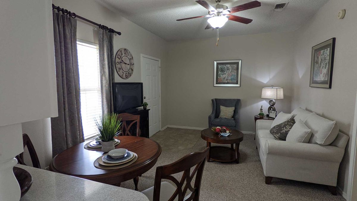 A cozy living room with a sofa, armchair, and coffee table, featuring a TV and decorative elements.