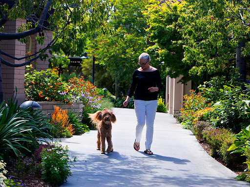 A woman enjoying a stroll with her dog along a beautifully landscaped path.